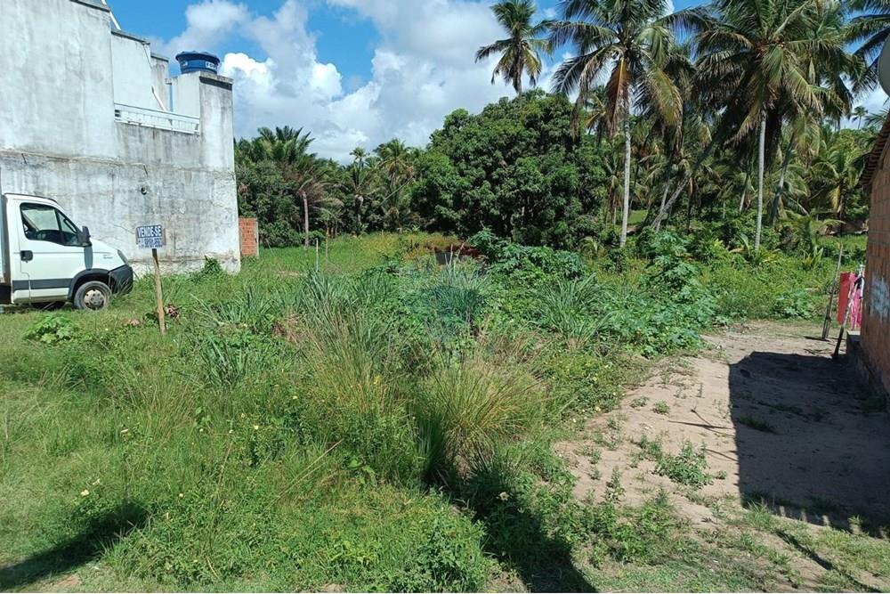 Terreno - Venda - Porto de Pedras , Alagoas - TERRENO LINDA 28.jpg - 850141002-102