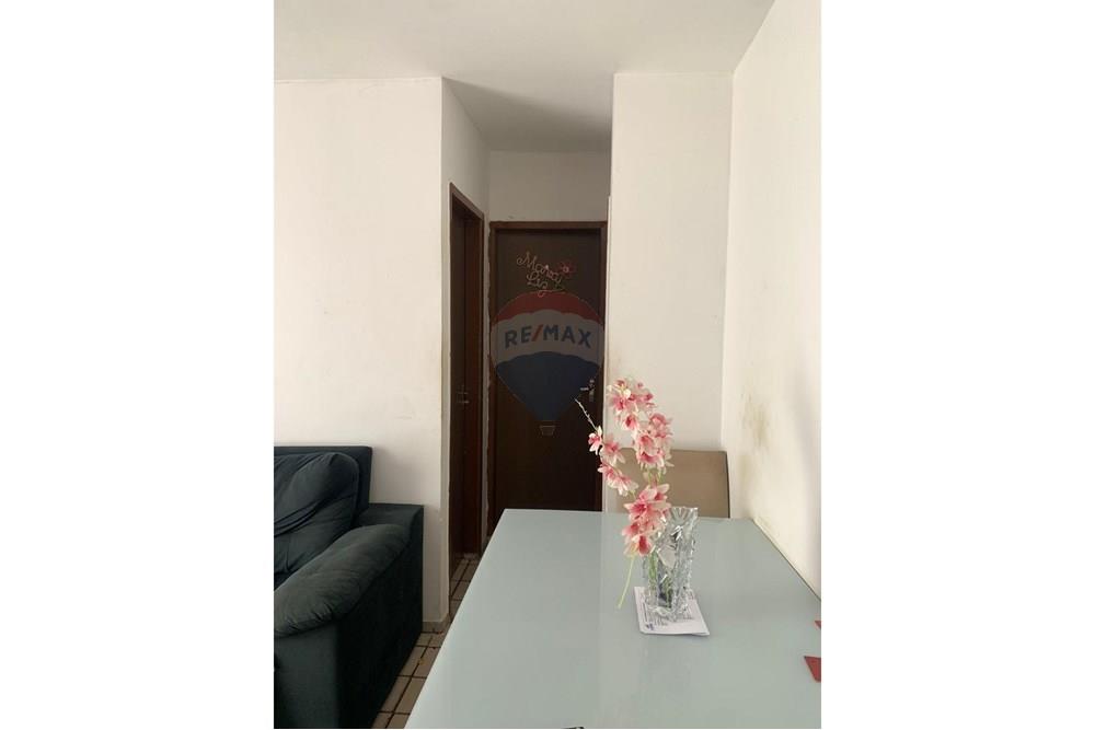 Apartamento - Venda - Olinda , Pernambuco - IMG-20251006-WA0015.jpg - 850091081-187