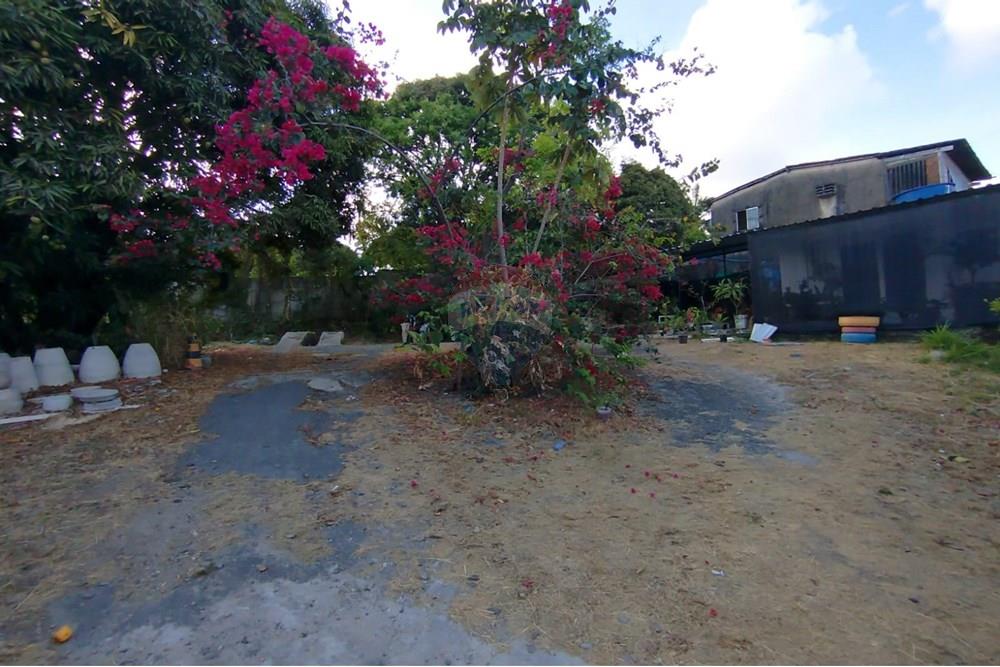Terreno - Venda - Paulista , Pernambuco - WhatsApp Image 2024-11-30 at 16.35.17 (1).jpeg - 850721002-53