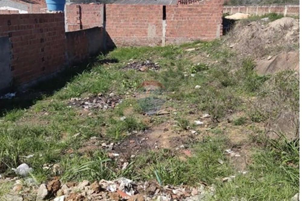 Terreno - Venda - Bonito , Pernambuco - Imagem do WhatsApp de 2025-02-18 à(s) 14.01.23_0c851577.jpg - 850051012-93