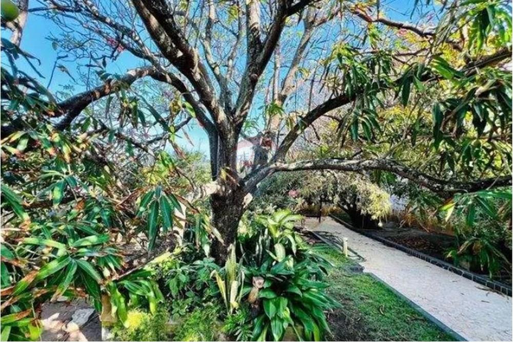 Casa - Venda - Aracaju , Sergipe - Captura de tela 2025-08-13 175440.jpg - 850581247-14