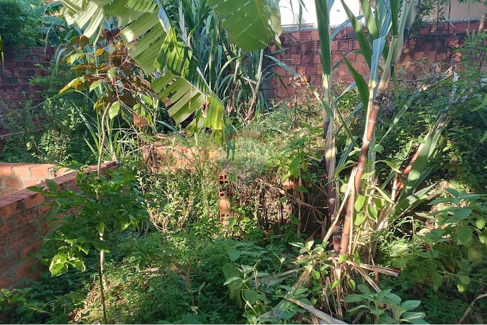 Terreno - Venda - Maceió , Alagoas - TERRENO JOAO 10.jpg - 850141002-98