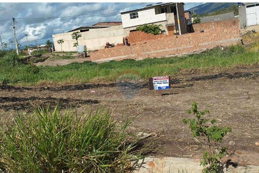 Terreno - Venda - Bonito , Pernambuco - Imagem do WhatsApp de 2025-02-25 à(s) 08.41.26_597287ff.jpg - 850051012-94