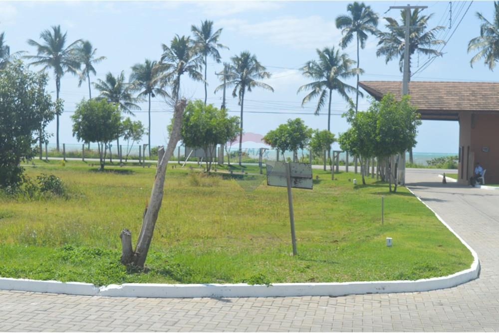 Terreno - Venda - Japaratinga , Alagoas - SAVE_20250916_143808.jpg - 850291008-90