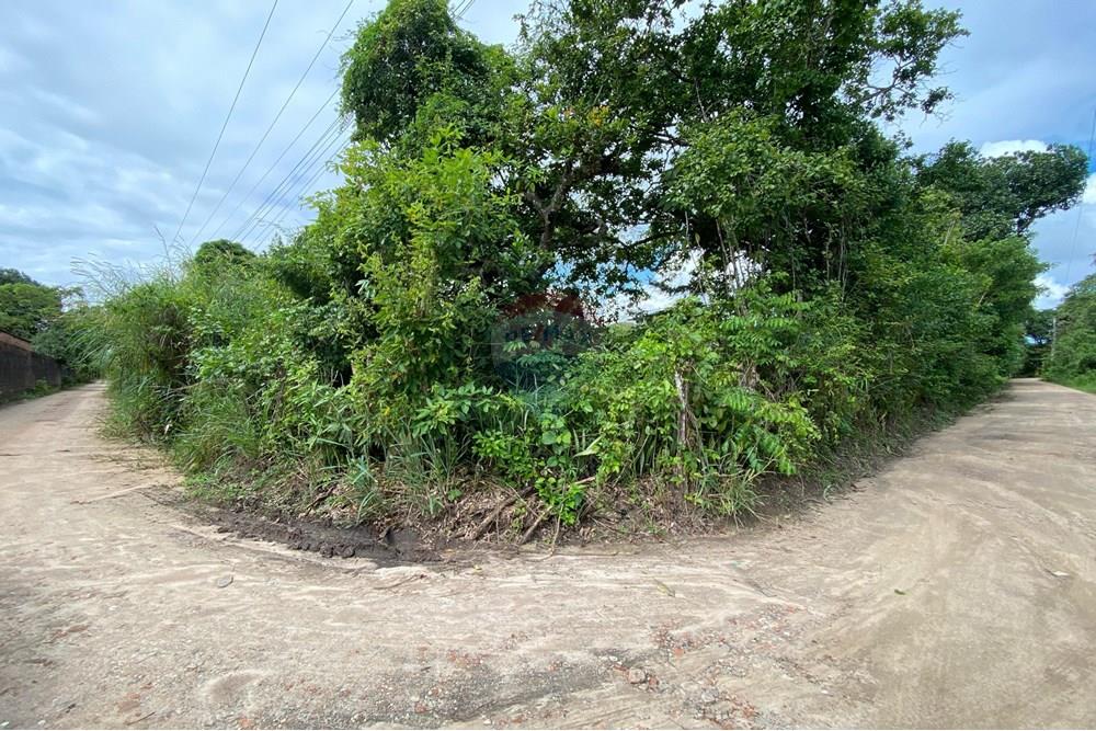 Chácara / Sítio / Fazenda - Venda - Camaragibe , Pernambuco - 51035a1a-2c6b-4975-aee8-7ca0b9a5213b.jpg - 850191067-47