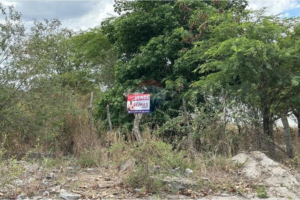 Terreno - Venda - Lajedo , Pernambuco - WhatsApp Image 2024-12-03 at 15.52.46.jpeg - 850131003-358