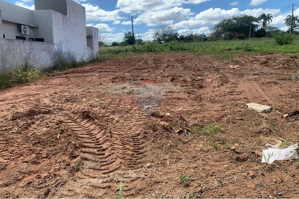 Terreno - Venda - Palmeira dos Índios , Alagoas - d838b014-27fe-4923-9021-945c1c9f252e.jpg - 850271243-2