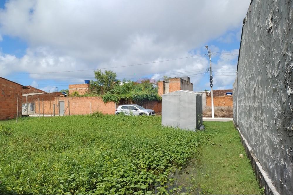 Terreno - Venda - Marechal Deodoro , Alagoas - IMG_20250605_131251292.jpg - 850651033-4