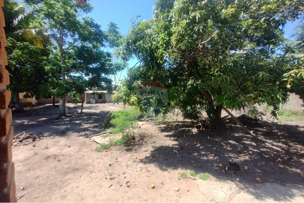 Chácara / Sítio / Fazenda - Venda - Marechal Deodoro , Alagoas - WhatsApp Image 2025-02-23 at 21.31.02 (1).jpeg - 850271006-269