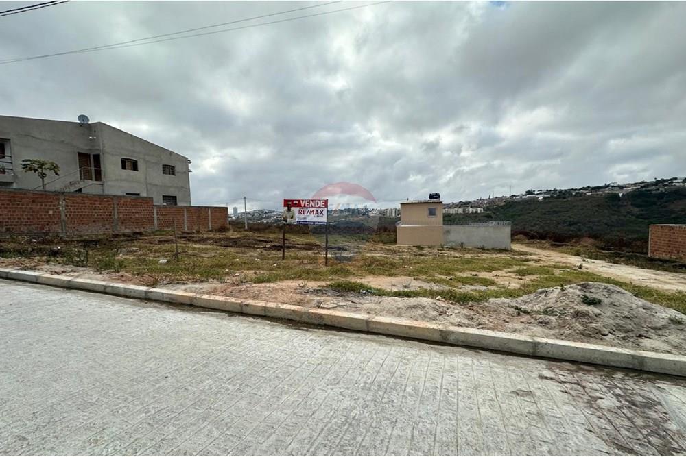 Terreno - Venda - Garanhuns , Pernambuco - WhatsApp Image 2025-01-08 at 17.00.50 (1).jpeg - 850131003-372