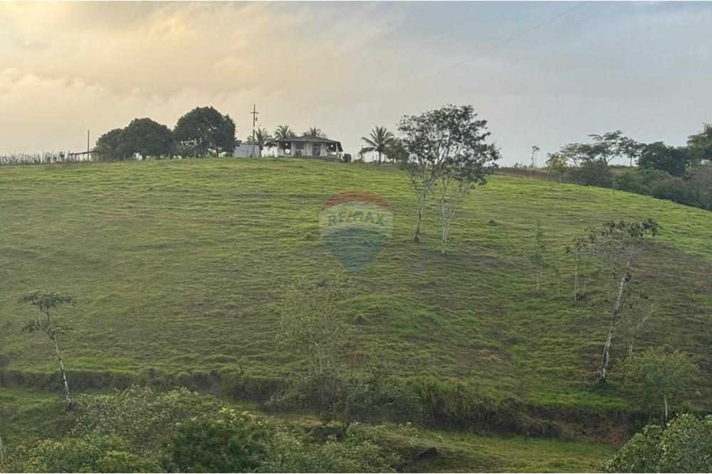 Chácara / Sítio / Fazenda - Venda - Boca da Mata , Alagoas - WhatsApp Image 2025-09-30 at 10.02.34.jpeg - 850641045-58