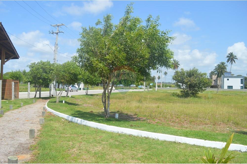 Terreno - Venda - Japaratinga , Alagoas - SAVE_20250916_143836.jpg - 850291008-90