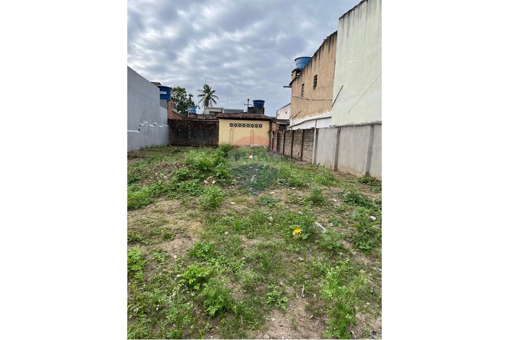 Terreno - Venda - Carpina , Pernambuco - Imagem WhatsApp 2025-06-30 às 09.54.01_3e3eab0b.jpg - 850501176-18