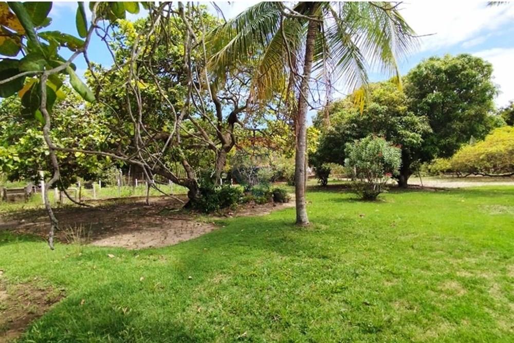 Chácara / Sítio / Fazenda - Venda - Igarassu , Pernambuco - WhatsApp Image 2025-01-23 at 15.12.41 (1).jpeg - 850071019-161