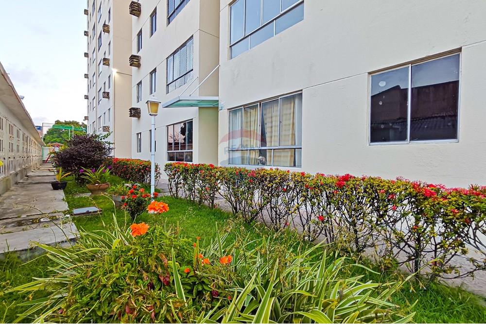 Apartamento - Venda - Jaboatão dos Guararapes , Pernambuco - IMG_20250909_170130.jpg - 850091083-5