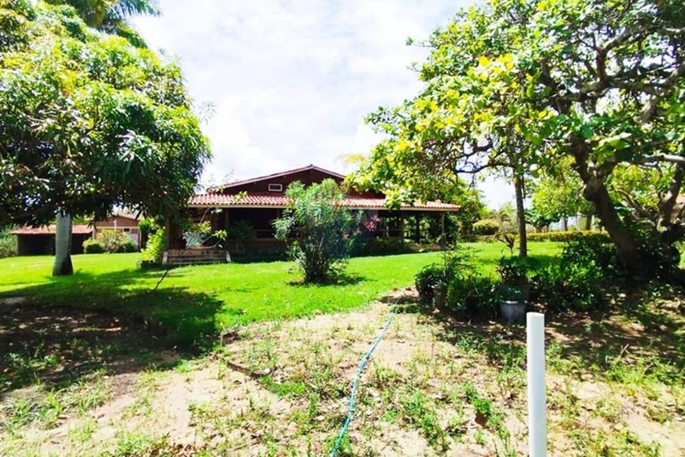 Chácara / Sítio / Fazenda - Venda - Igarassu , Pernambuco - WhatsApp Image 2025-01-23 at 15.12.02.jpeg - 850071019-161