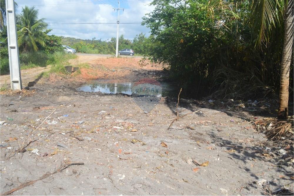 Terreno - Venda - Maragogi , Alagoas - WhatsApp Image 2025-10-19 at 9.01.35 AM.jpeg - 850291008-53