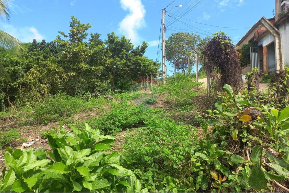 Terreno - Venda - Maceió , Alagoas - IMG-20250516-WA0007.jpg - 850711016-38