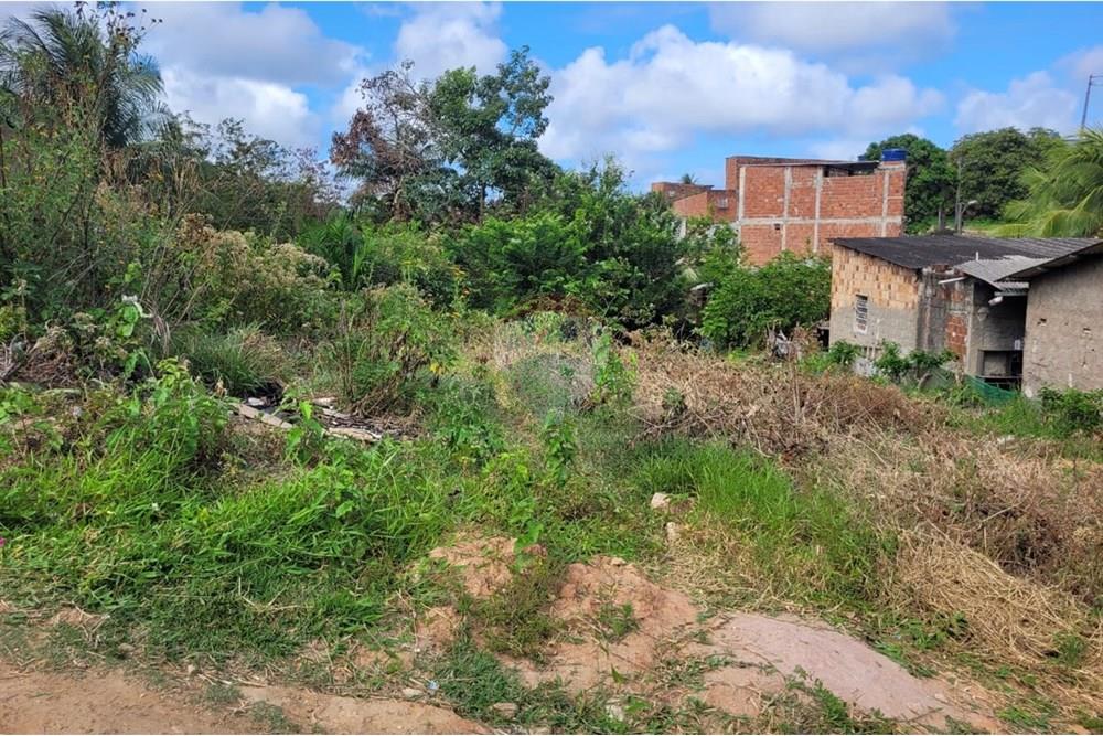 Terreno - Venda - Cabo de Santo Agostinho , Pernambuco - WhatsApp Image 2024-11-05 at 13.10.01 (4).jpeg - 850281001-5