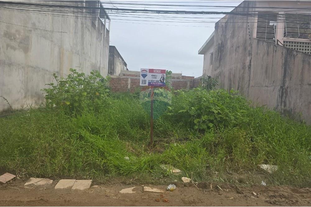 Terreno - Venda - Cabo de Santo Agostinho , Pernambuco - WhatsApp Image 2025-08-23 at 22.29.35.jpeg - 850281036-101