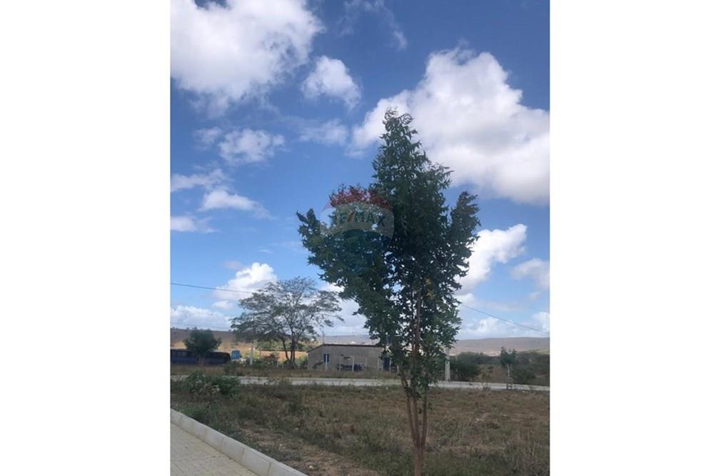 Terreno - Venda - Bezerros , Pernambuco - Imagem do WhatsApp de 2025-09-14 à(s) 07.57.09_a1f930bb.jpg - 850731004-29