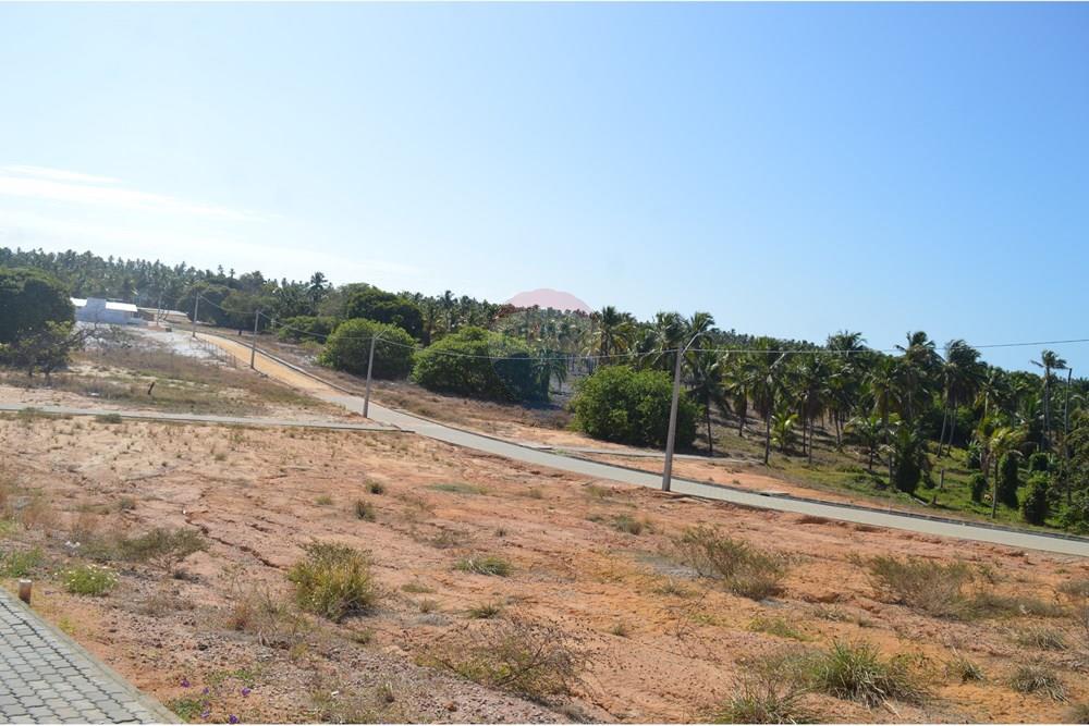 Terreno - Venda - Maragogi , Alagoas - DSC_0172.JPG - 850291008-49