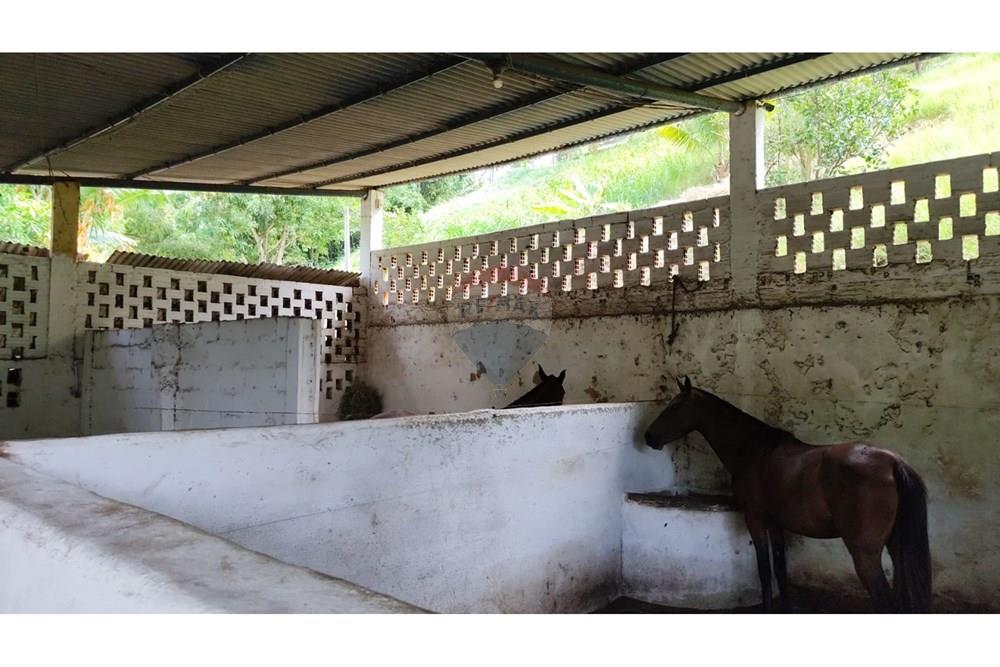 Chácara / Sítio / Fazenda - Venda - Maceió , Alagoas - HARAS26.jpg - 850141043-95