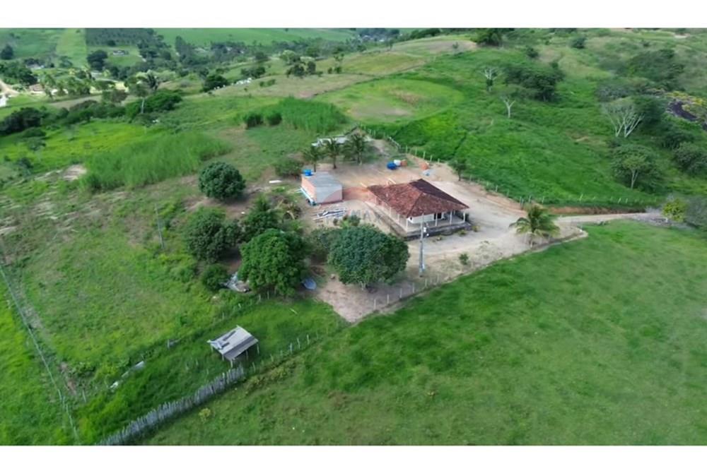 Chácara / Sítio / Fazenda - Venda - Boca da Mata , Alagoas - WhatsApp Image 2025-09-29 at 10.43.16 (3).jpeg - 850641045-58