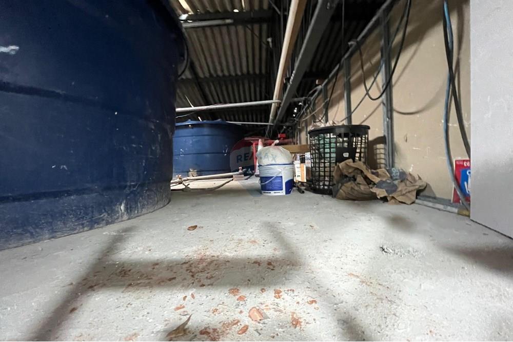 Galpão - Alugar - Recife , Pernambuco - 8263cac9-520b-48eb-bc7a-fab7081b5c09.jpg - 850701027-11