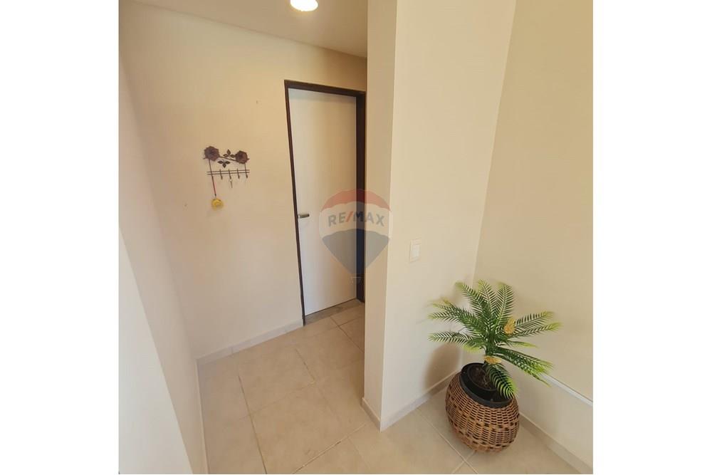 Casa - Venda - Ipojuca , Pernambuco - WhatsApp Image 2025-03-24 at 4.09.51 PM (2).jpeg - 850221031-169