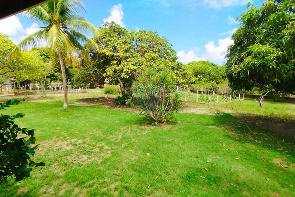 Chácara / Sítio / Fazenda - Venda - Igarassu , Pernambuco - WhatsApp Image 2025-01-23 at 15.12.42 (4).jpeg - 850071019-161