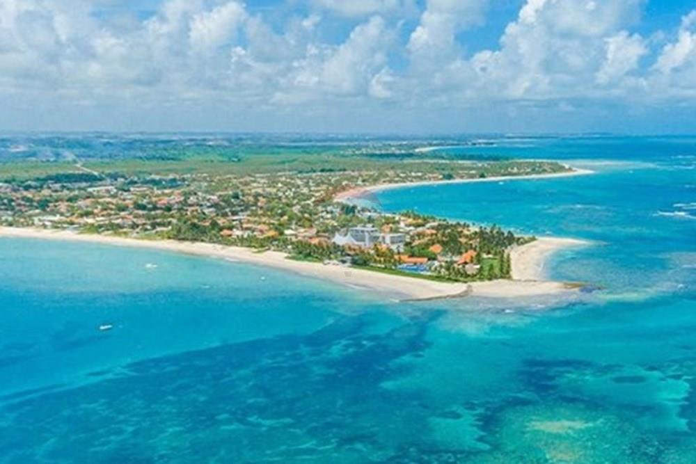 Terreno - Venda - Ipojuca , Pernambuco - WhatsApp Image 2025-06-02 at 07.56.37 (3).jpeg - 850221002-486