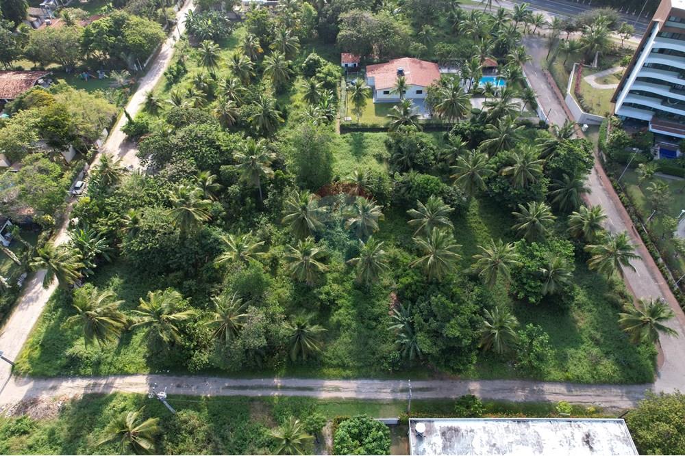 Terreno - Venda - Cabo de Santo Agostinho , Pernambuco - DJI_0923.JPG - Quintal - 850091083-7