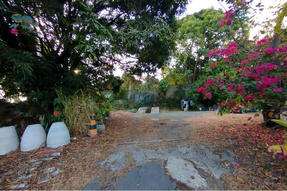 Terreno - Venda - Paulista , Pernambuco - WhatsApp Image 2024-11-30 at 16.35.16 (3).jpeg - 850721002-53