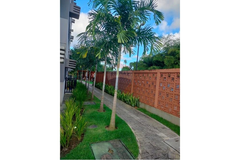 Apartamento - Venda - Recife , Pernambuco - Imagem do WhatsApp de 2025-08-18 à(s) 21.22.24_262e8c5b.jpg - 850191024-481