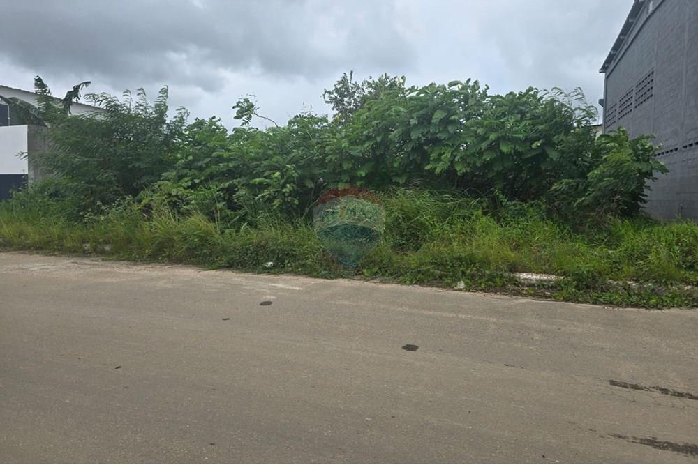 Terreno - Venda - Cabo de Santo Agostinho , Pernambuco - WhatsApp Image 2025-09-26 at 13.44.15.jpeg - 850281036-112