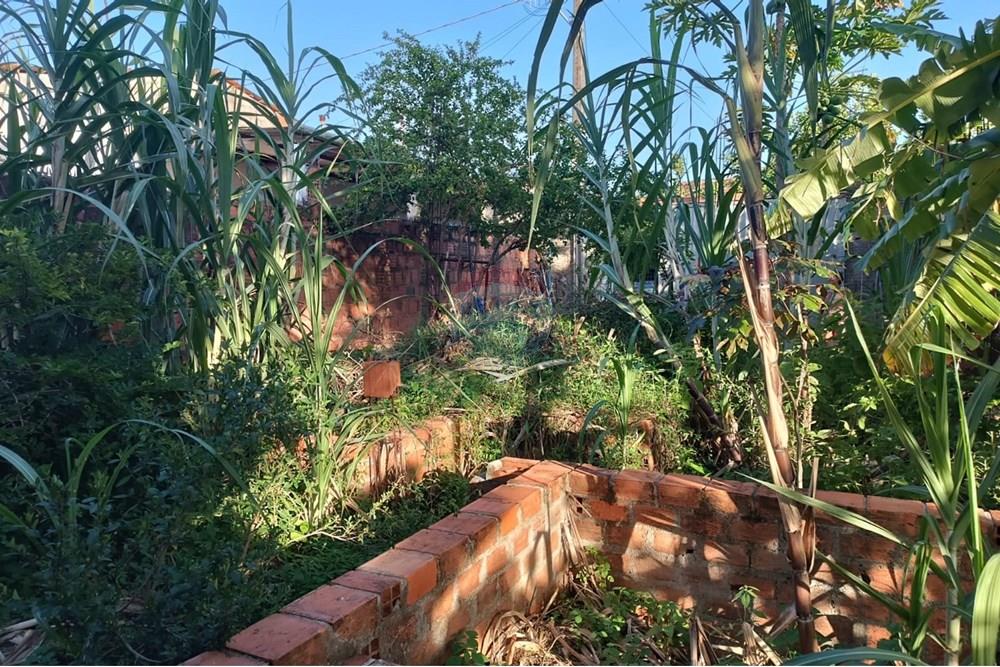 Terreno - Venda - Maceió , Alagoas - TERRENO JOAO 13.jpg - 850141002-98