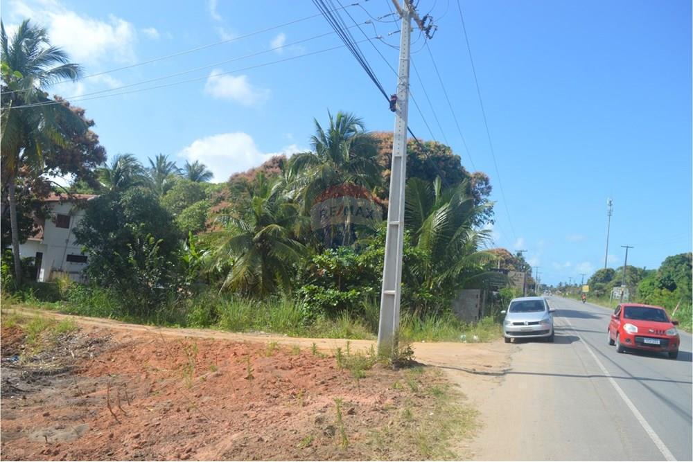 Terreno - Venda - Maragogi , Alagoas - WhatsApp Image 2025-10-19 at 9.01.36 AM.jpeg - 850291008-53