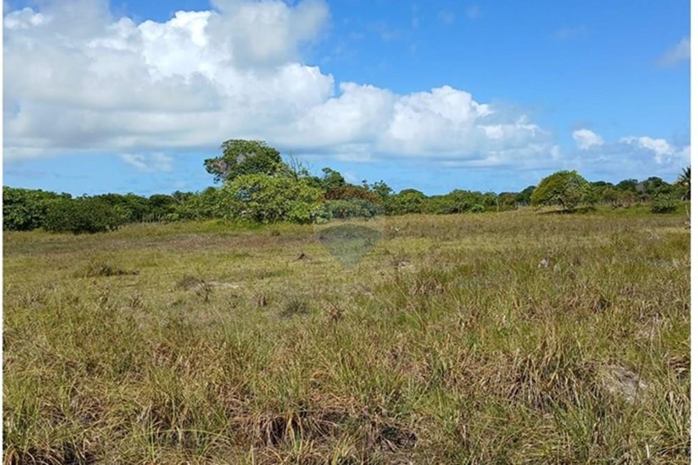 Chácara / Sítio / Fazenda - Venda - Piaçabuçu , Alagoas - IMG-20250221-WA0114.jpg - 850271205-15