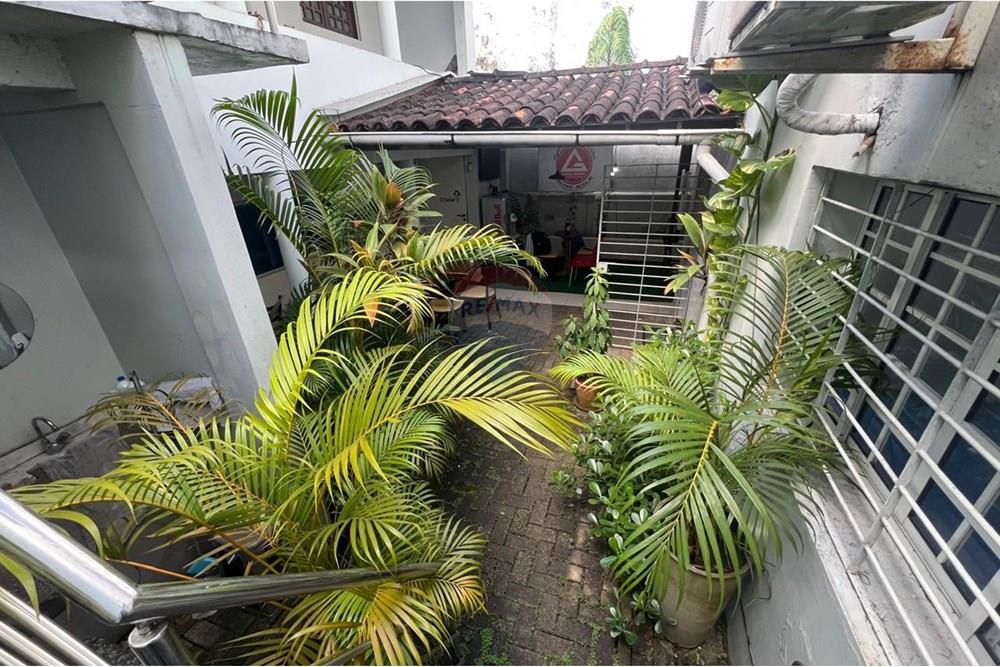 Ponto Comercial/ Loja - Alugar - Recife , Pernambuco - IMG-20250903-WA0041.jpg - 850701012-98