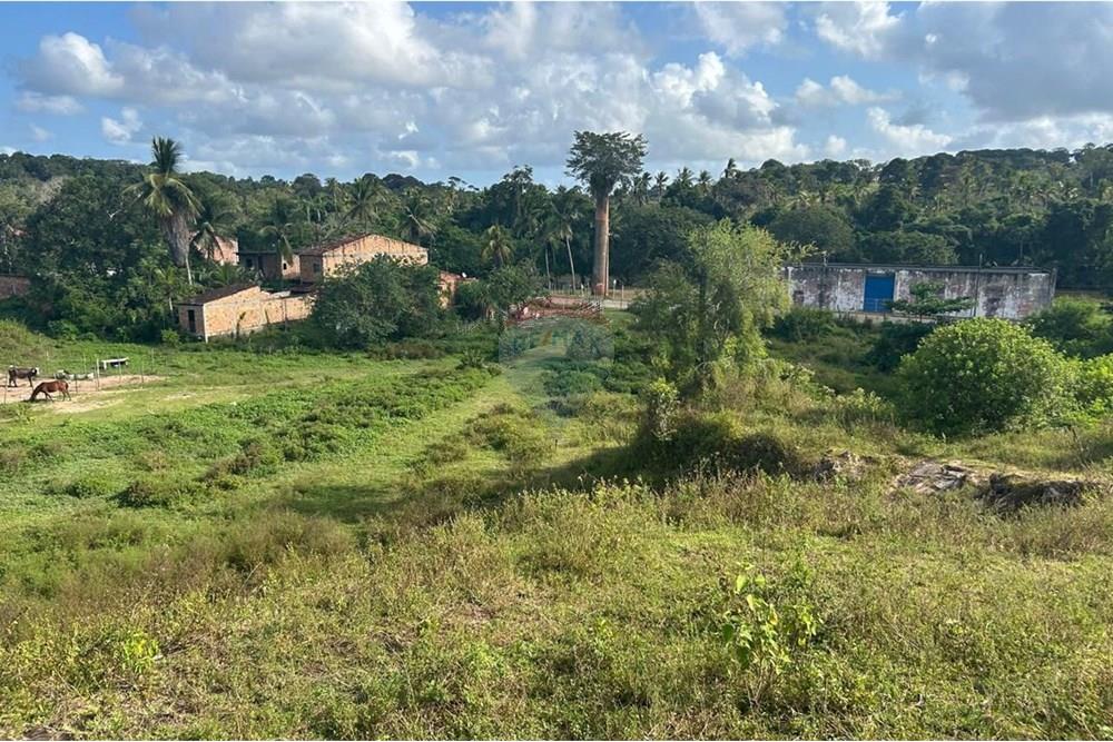Terreno - Venda - Estância , Sergipe - WhatsApp Image 2025-10-16 at 11.17.58(1).jpeg - 850581263-3