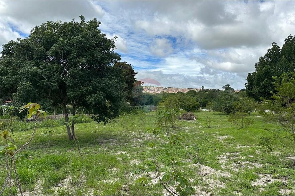 Terreno - Venda - Garanhuns , Pernambuco - TAMANHO 2 DO TERRENO DEU NILTON.jpg - 850741005-15