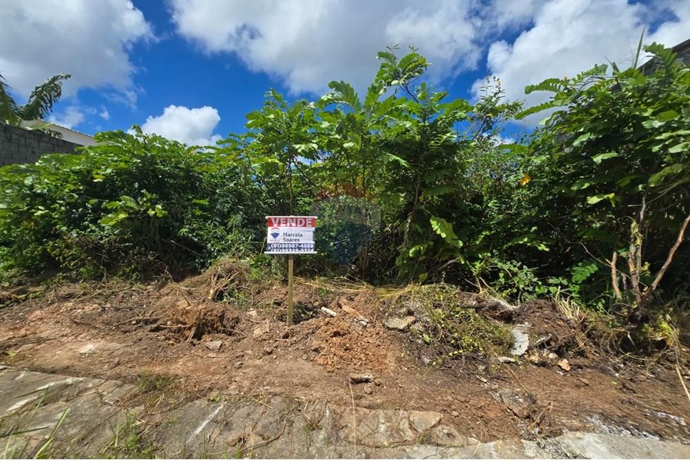 Terreno - Venda - Cabo de Santo Agostinho , Pernambuco - WhatsApp Image 2025-10-04 at 18.07.50.jpeg - 850281036-112