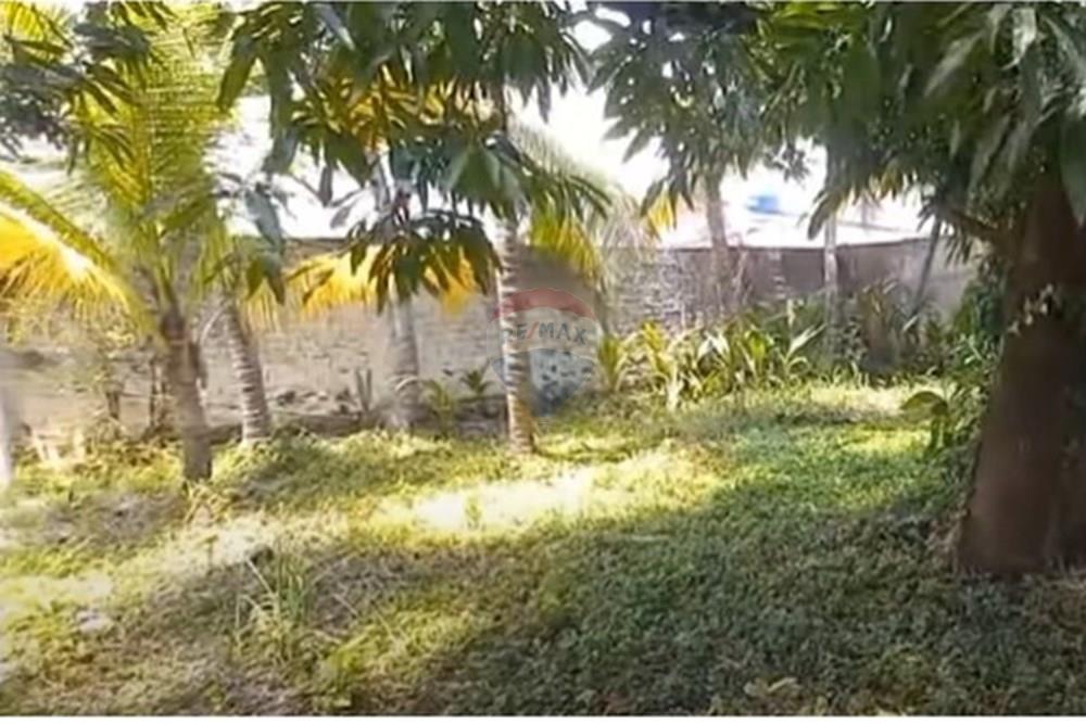 Terreno - Venda - Jaboatão dos Guararapes , Pernambuco - Foto dentro do terreno VIII.jpg - 850601020-8