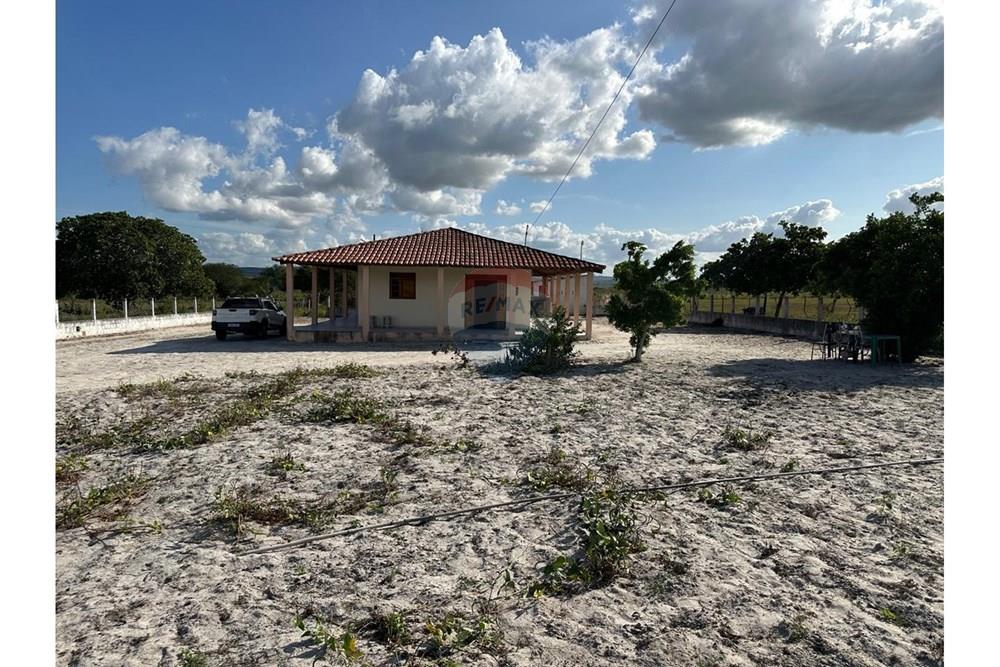 Chácara / Sítio / Fazenda - Venda - Jucati , Pernambuco - WhatsApp Image 2025-03-18 at 11.45.16 (1).jpeg - 850131003-419