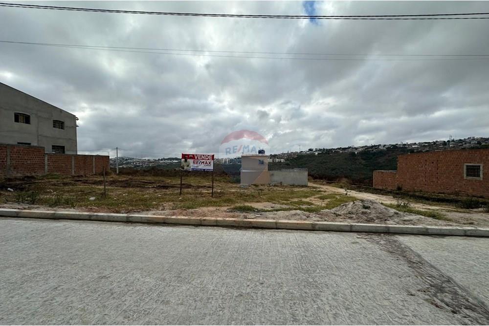 Terreno - Venda - Garanhuns , Pernambuco - WhatsApp Image 2025-01-08 at 17.00.51 (13).jpeg - 850131003-370