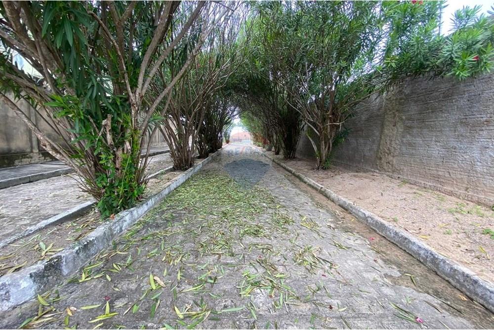 Terreno - Venda - Paripueira , Alagoas - IMG-20250815-WA0120.jpg - 850271152-50