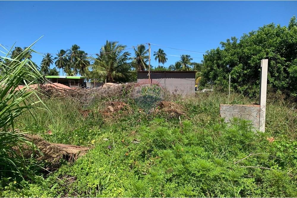 Terreno - Venda - Porto de Pedras , Alagoas - 8.jpg - 850661038-25