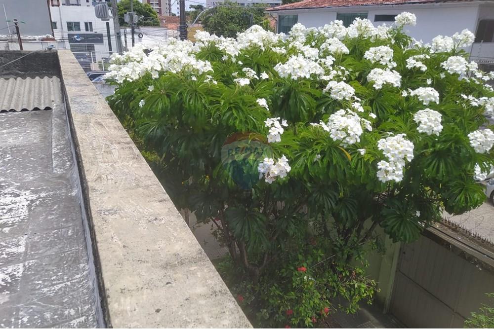 Casa - Venda - Recife , Pernambuco - 28.jpg - 850091092-23