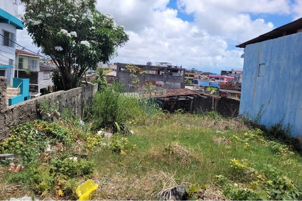 Terreno - Venda - Cabo de Santo Agostinho , Pernambuco - WhatsApp Image 2024-11-08 at 15.24.47.jpeg - 850281001-3